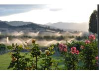 Eden Valley Orchards